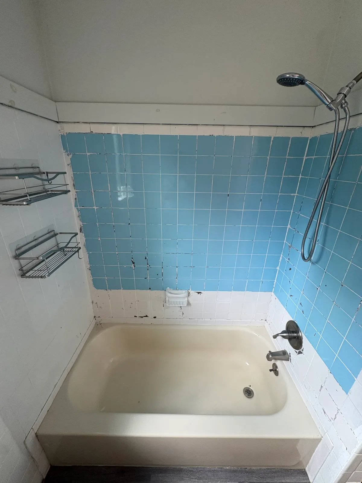 Bathroom Refresh with Tub & Shower Surround Replacement, before