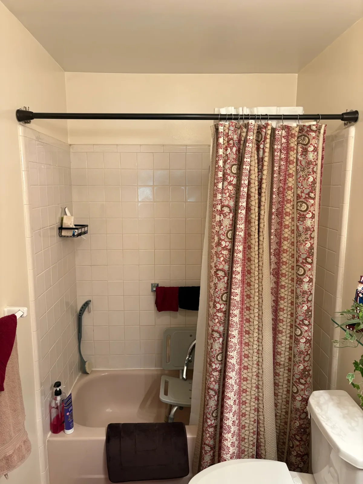 Tub-to-Shower Conversion, before