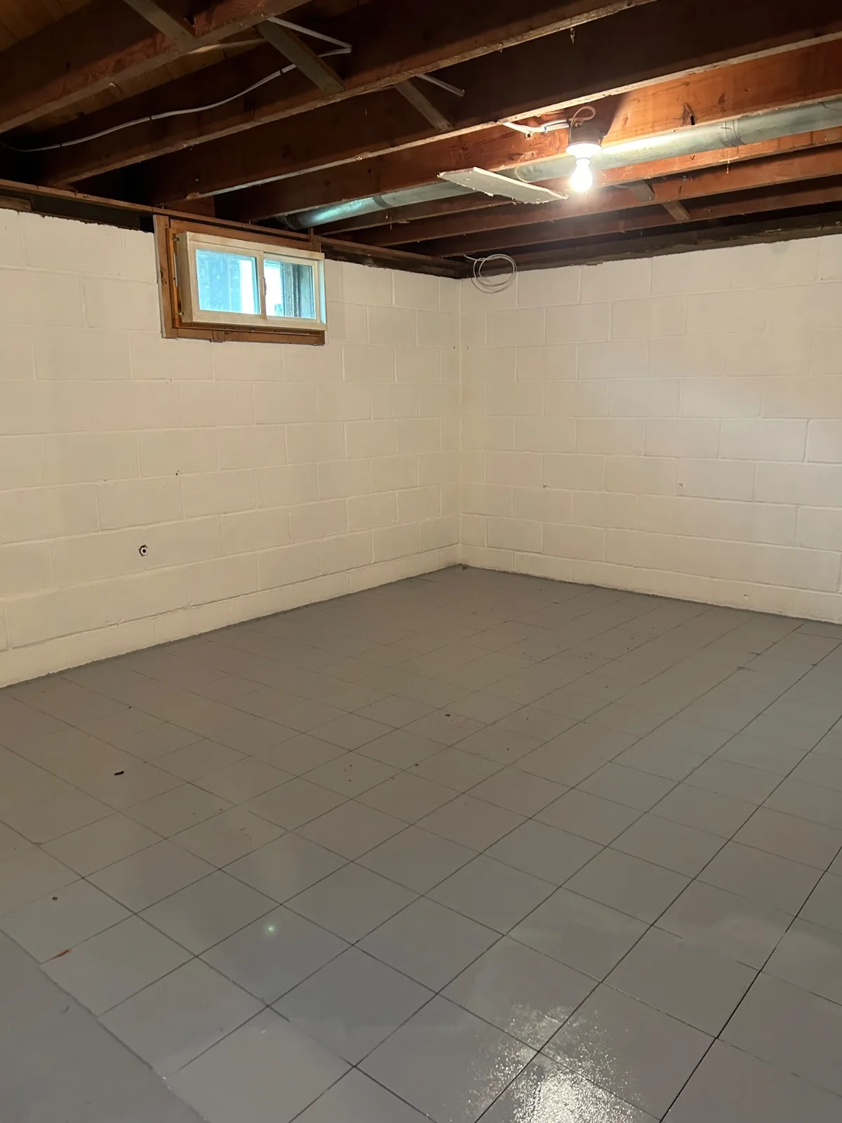 Basement Cleanout & Protective Finish Refresh