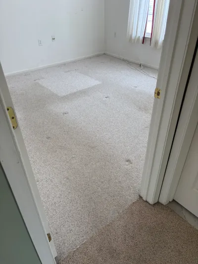 Empty bedroom with worn, stained carpet viewed through an open doorway before renovation.