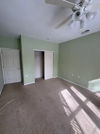 Empty bedroom with green walls, tan carpet, a ceiling fan, and an open closet.