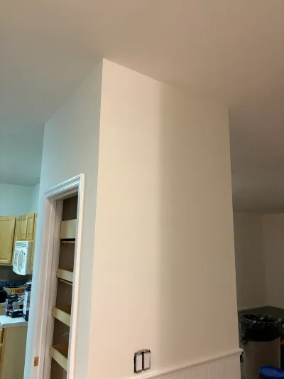 A newly painted kitchen wall corner during renovation, with an open pantry closet showing pull-out shelving.