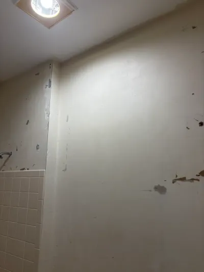 A bathroom wall mid-demolition with peeling paint above a strip of beige tile and an exposed shower pipe.