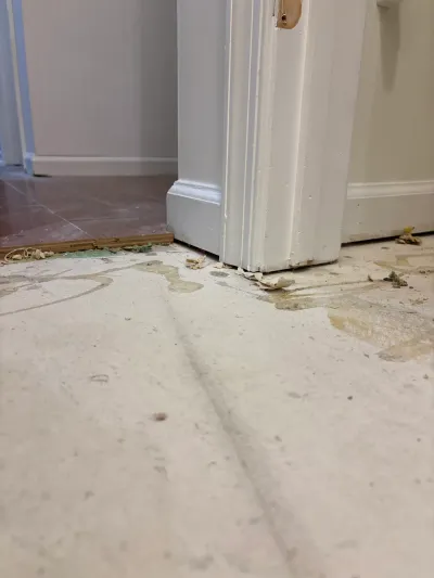 Exposed subfloor with adhesive residue at a doorway during a flooring removal project.
