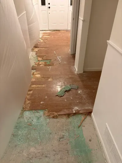 Hallway mid-renovation with flooring torn up, exposing green underlayment and subfloor near the front door.