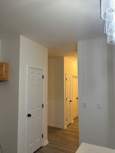 Hallway with white paneled doors, black hardware, and wood-look flooring seen from an adjacent room.