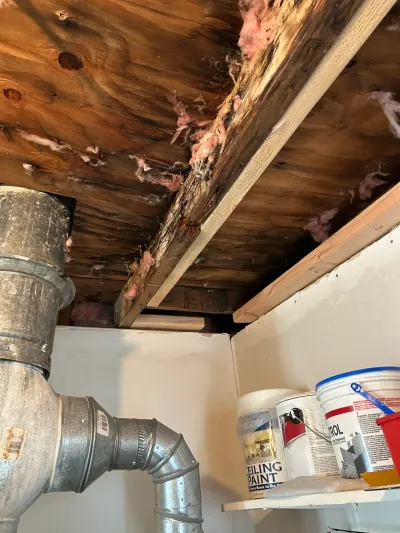 Exposed and water-damaged wood ceiling sheathing with loose insulation above a metal duct and paint supplies.