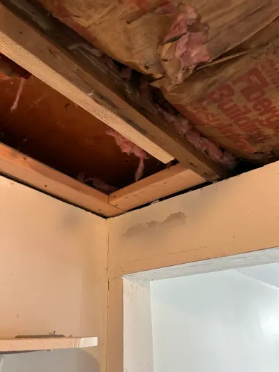 Basement ceiling with a section opened up revealing exposed insulation and wood framing above a doorway.