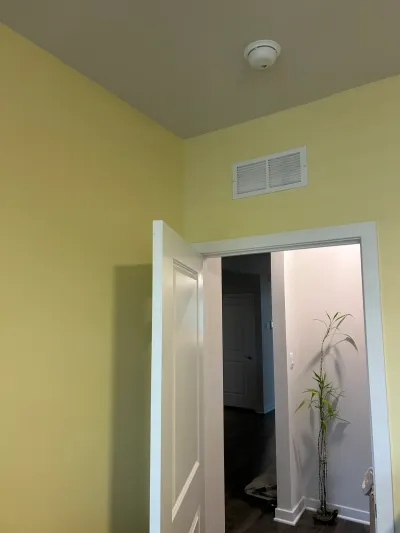 A pale yellow room with an open door revealing a hallway with a bamboo plant and dark flooring.