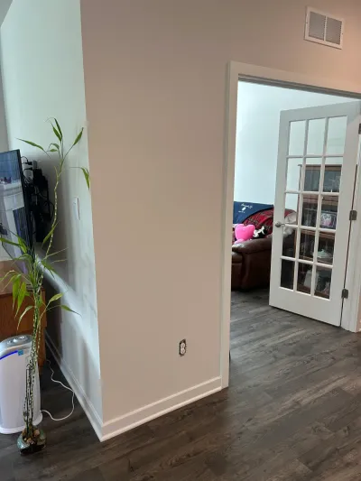 Hallway with wood-look flooring and an open glass-paned door leading into a living room.
