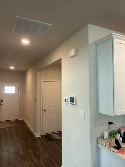 Bright hallway with dark wood-look flooring leading to a white front door, with a wall-mounted cabinet nearby.