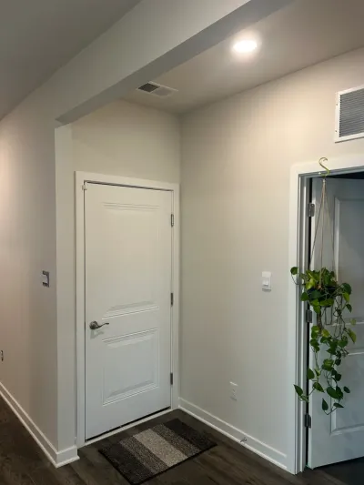 A hallway with a white paneled door, sloped ceiling, dark plank flooring, and a hanging plant in an adjacent doorway.
