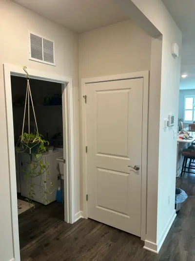Hallway with dark wood-look flooring, a white paneled door, and a laundry nook with hanging plant to the side.