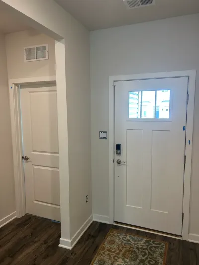 Bright entry foyer with white craftsman front door, gray walls, and dark wood-look vinyl plank flooring.