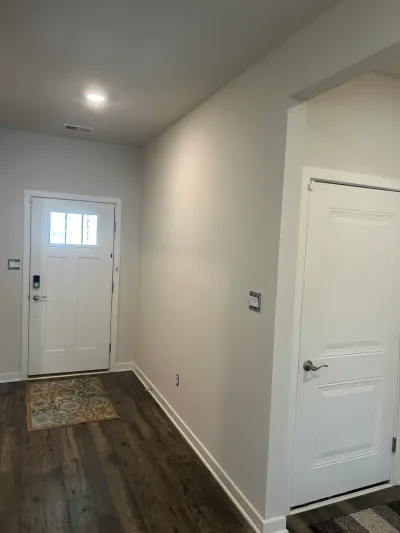 Bright entry hall with white paneled front door, greige walls and dark wood-look vinyl plank floor.