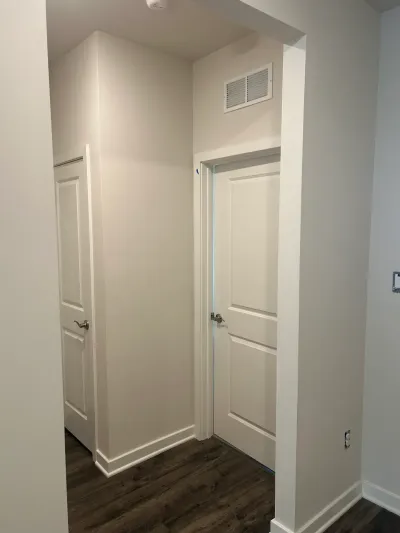 Freshly painted white hallway with dark vinyl plank flooring and two panel doors with nickel levers.