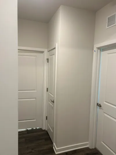A freshly painted white hallway with panel doors, nickel hardware, and dark plank flooring.