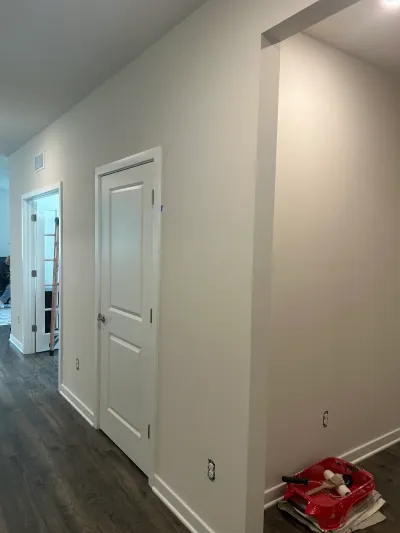 Freshly painted hallway with white two-panel door, dark LVP flooring, and a paint tray on the floor.