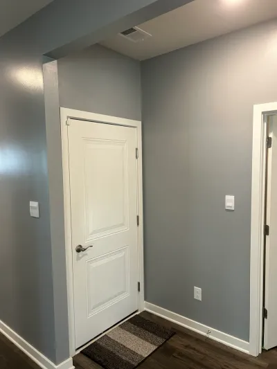 Gray hallway with white two-panel door, satin nickel lever, dark wood-look floors and striped runner rug.