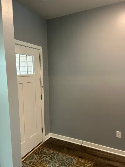 Gray-walled entryway with a white glass-paned front door, dark wood-look floors and a patterned rug.