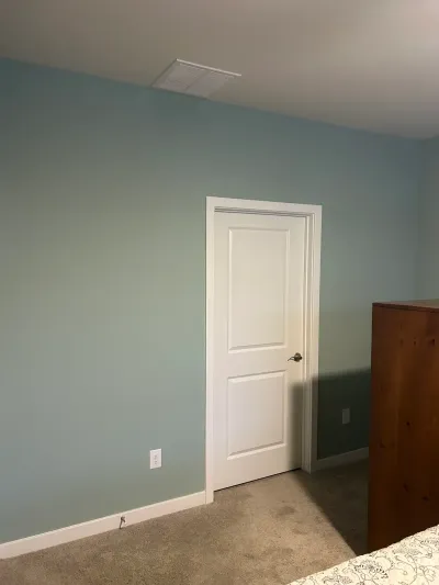 Bedroom corner with sage blue-green walls, beige carpet, and a white two-panel door with nickel lever.