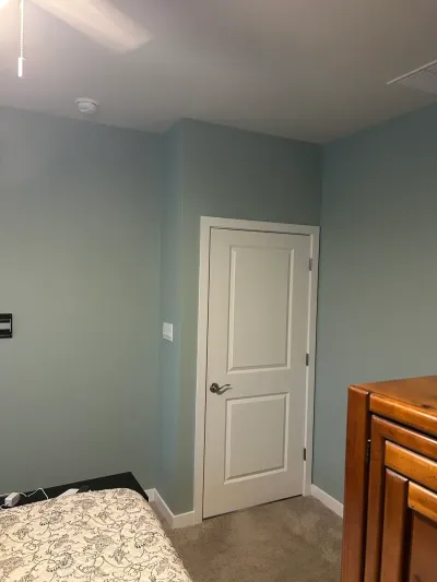 Bedroom corner with sage green walls, white two-panel door, beige carpet, and a wood dresser.