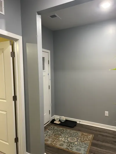 Gray-painted entry nook with white trim, vinyl plank floor, patterned rug and boot tray by the door.