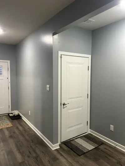 Finished basement hallway with gray-blue walls, white paneled door, and dark wood-look vinyl plank floors.