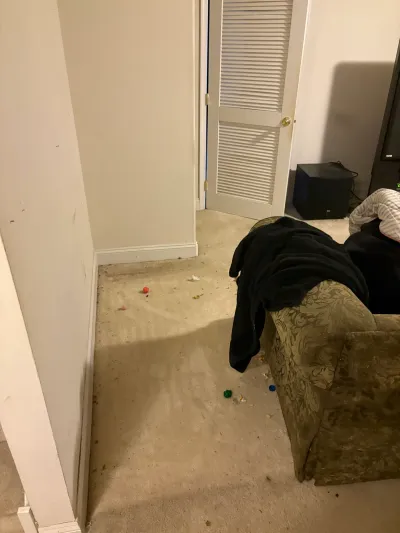 Corner of a carpeted room with stained beige carpet, white louvered closet doors and an olive armchair.