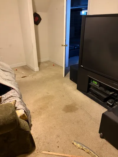 Basement room before remodeling, with stained beige carpet, cream walls, open door and an old projection TV.