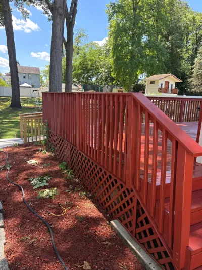 Raised backyard wood deck with red-stained railing, lattice skirting and stairs beside a mulched bed.