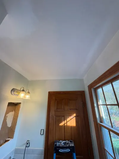 Bathroom mid-remodel with sloped painted ceiling, lit chrome sconce, stained wood door and ladder