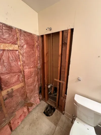 Bathroom demolition showing a shower alcove stripped to wood studs beside pink insulation and a remaining toilet.