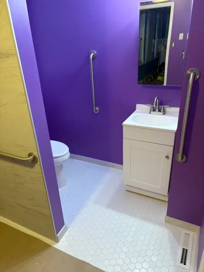 A small purple bathroom with white hex tile floor, a white vanity, toilet, and grab bars.