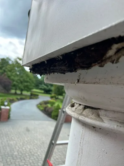 Close-up of a rotted wood column capital on a home's exterior portico with a ladder set up for repair.