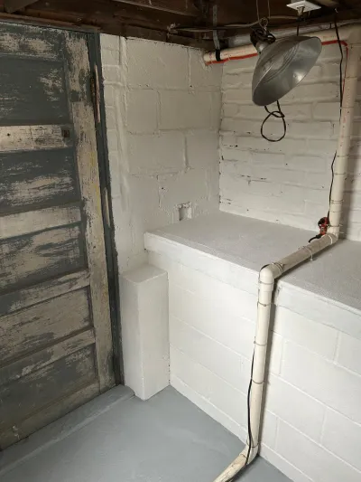 Unfinished basement corner with a weathered wood door, painted concrete block walls, and a hanging work light.