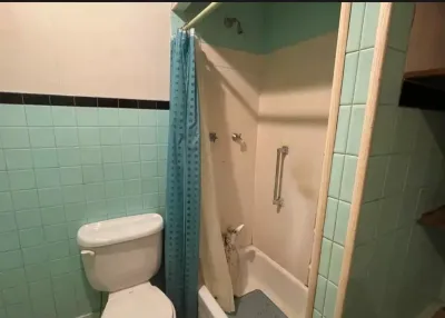 Dated bathroom with mint green tile, black accent trim, and a tub-shower combo before renovation.