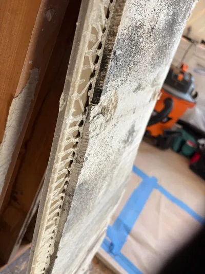 Close-up of a mold-stained panel edge with honeycomb core, framing visible in a workshop background.